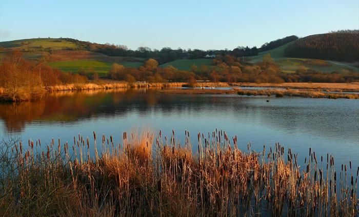 Cors Caron's autumn colours